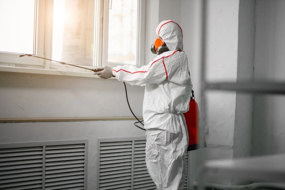Professional mold remediation services in Circle Pines, MN